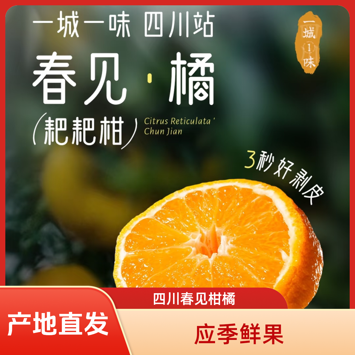 四川春见耙耙柑 鲜甜爆汁 产地直发