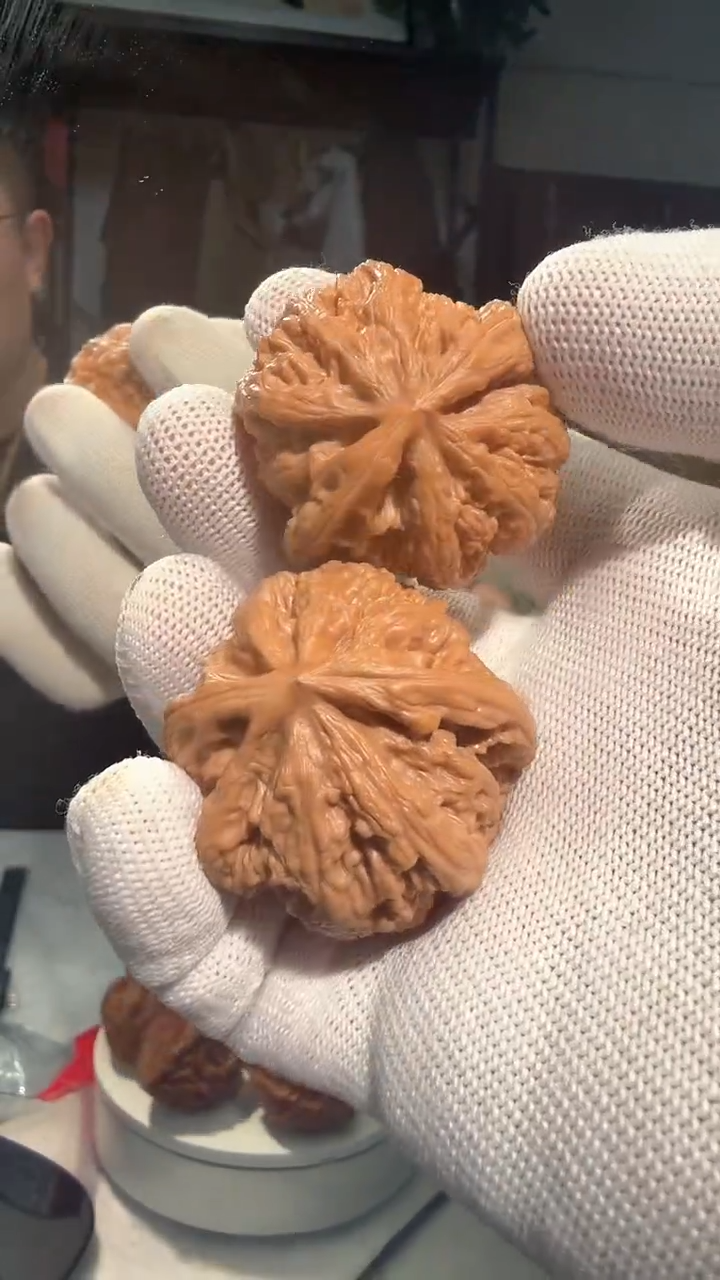 大叶紫檀（黑酸枝木类）022 球粗筋 43