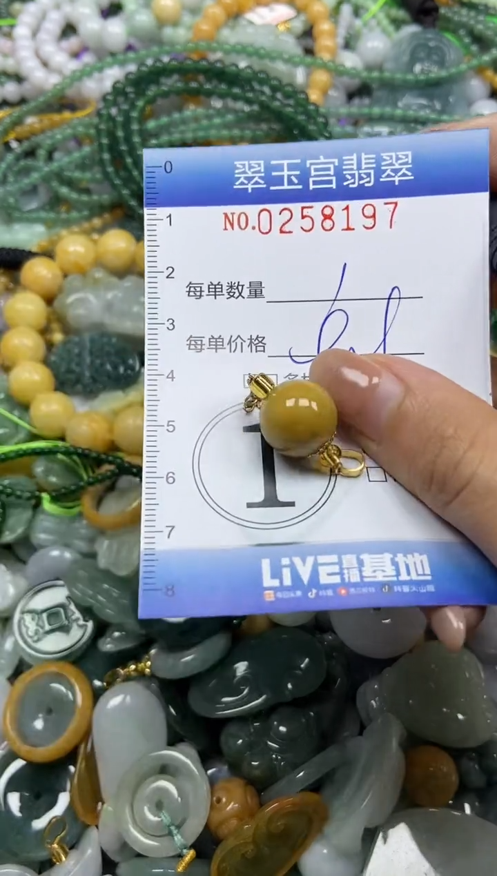 颈饰未镶嵌翡翠闪购C0258197