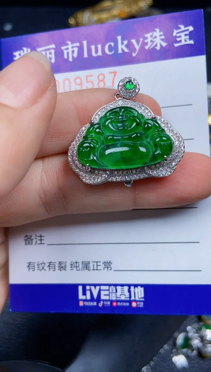 【闪购商品】翡翠颈饰银S925镶嵌9587