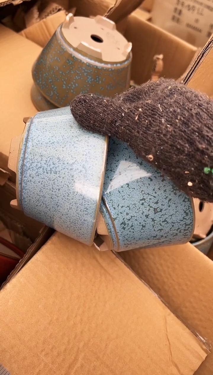 拉55个2个微瑕的