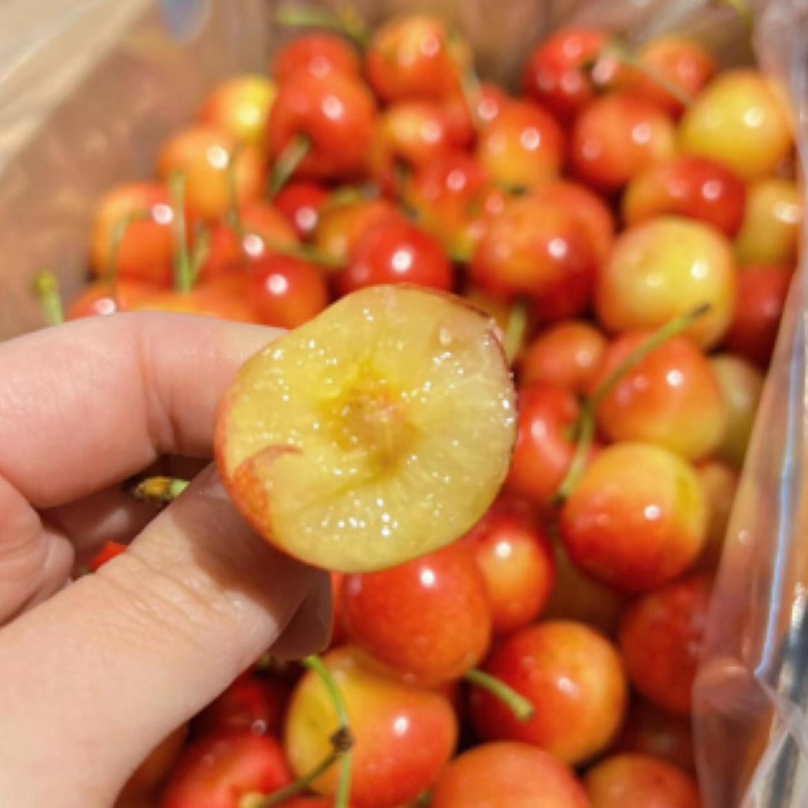 【雷尼尔/Rainer 3J-4J 】智利进口海运新鲜2.2kg黄金车厘子 内附果径卡雷尼尔樱桃智利共和国