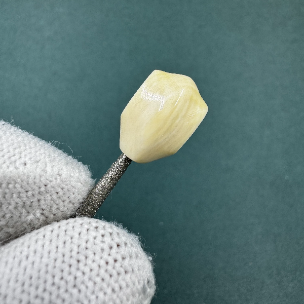 M1798天然猛犸牙玉龙6A鲨鱼背 支持鉴定假一罚四