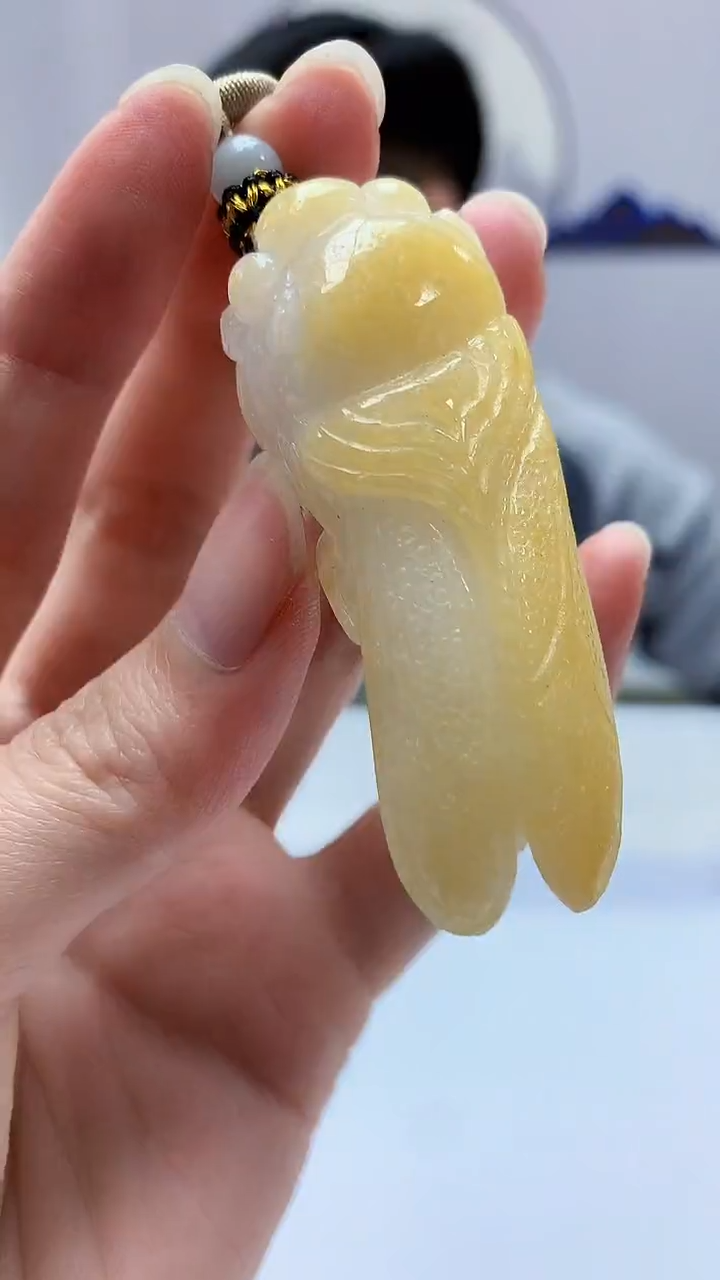 【闪购商品】定制翡翠未镶嵌4917zm-毛货挂件92知了