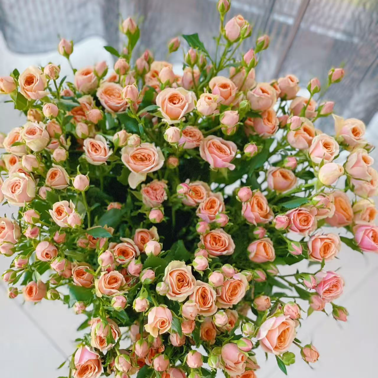 【大力甄选】AA级圆舞曲多头玫瑰 云南基地现采现发 一单包邮