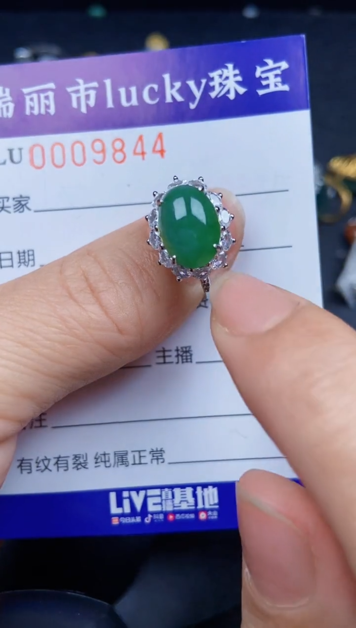 【闪购商品】翡翠颈饰银S925镶嵌9844