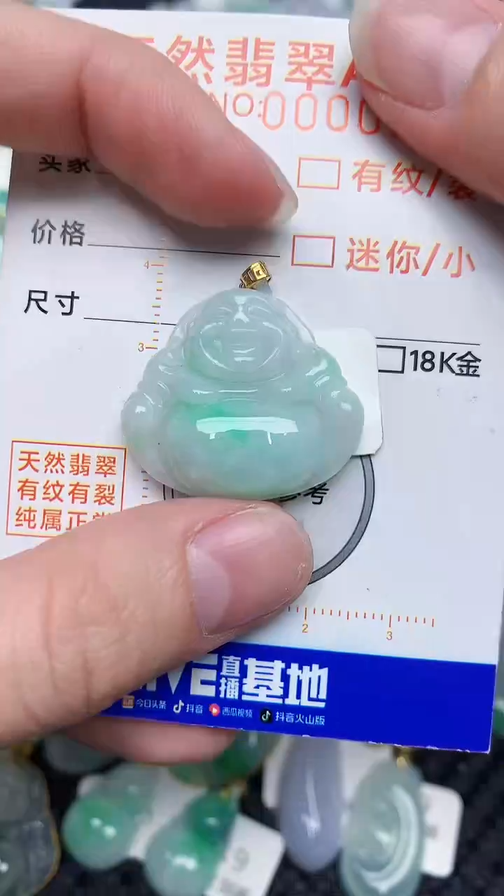 【闪购商品】翡翠颈饰未镶嵌45345345345