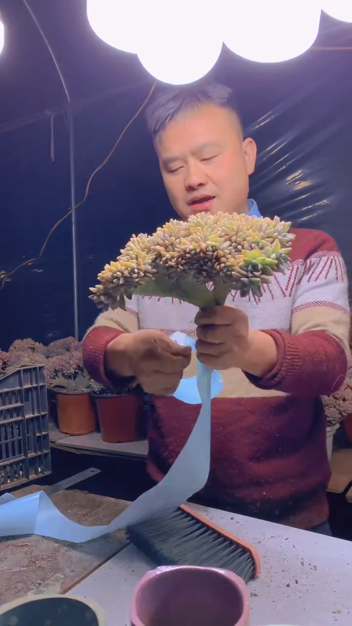 【闪购商品】缀化146