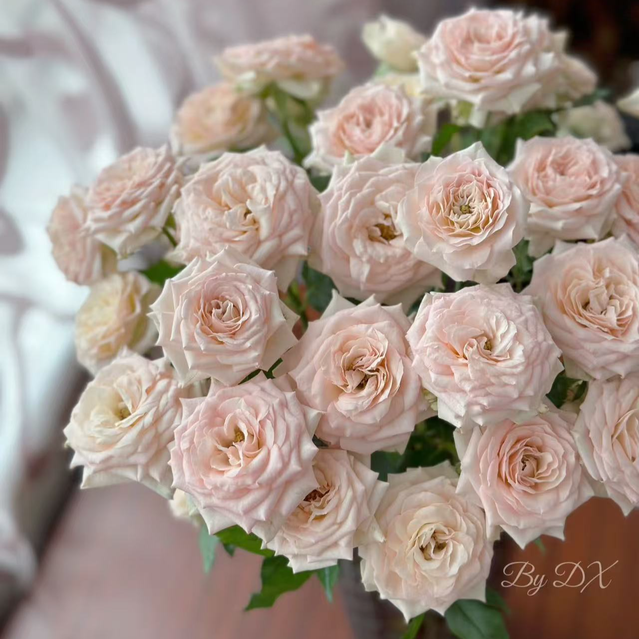 【桑赛儿】俏溪阳A稀有多头玫瑰 玖枝花优选 云南基地直发 鲜切花