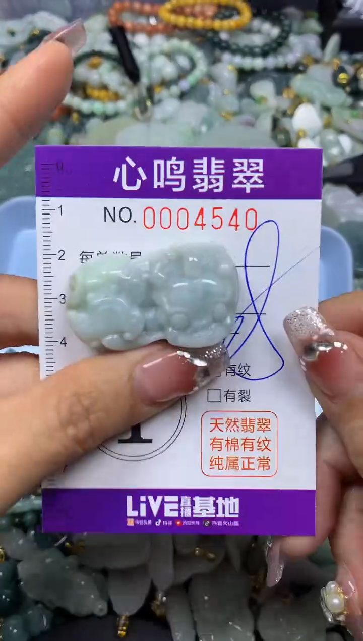 【闪购商品】翡翠颈饰未镶嵌闪购004540