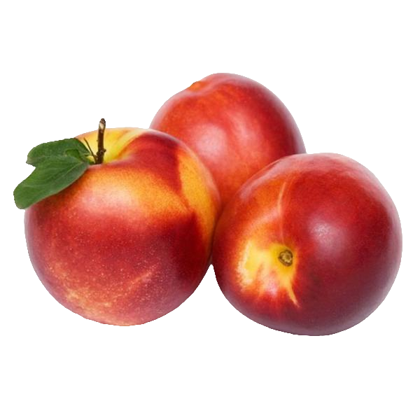 大红油桃油桃800g北京市