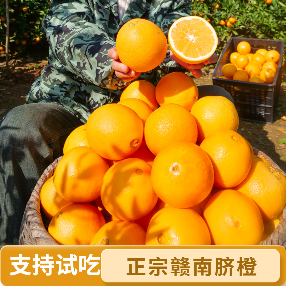 正宗赣南脐橙江西橙子新鲜水果产地直发当季现摘现发孕妇水果整箱