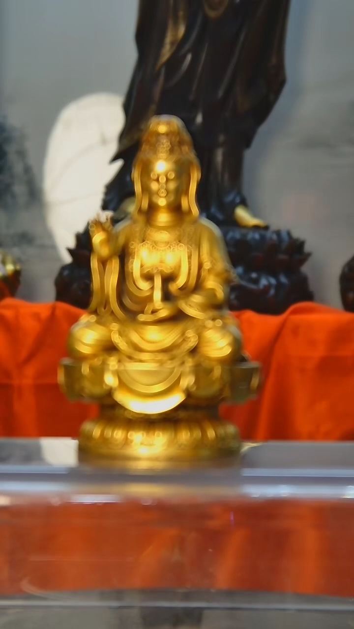 【闪购商品】佛佛佛佛佛佛佛佛佛