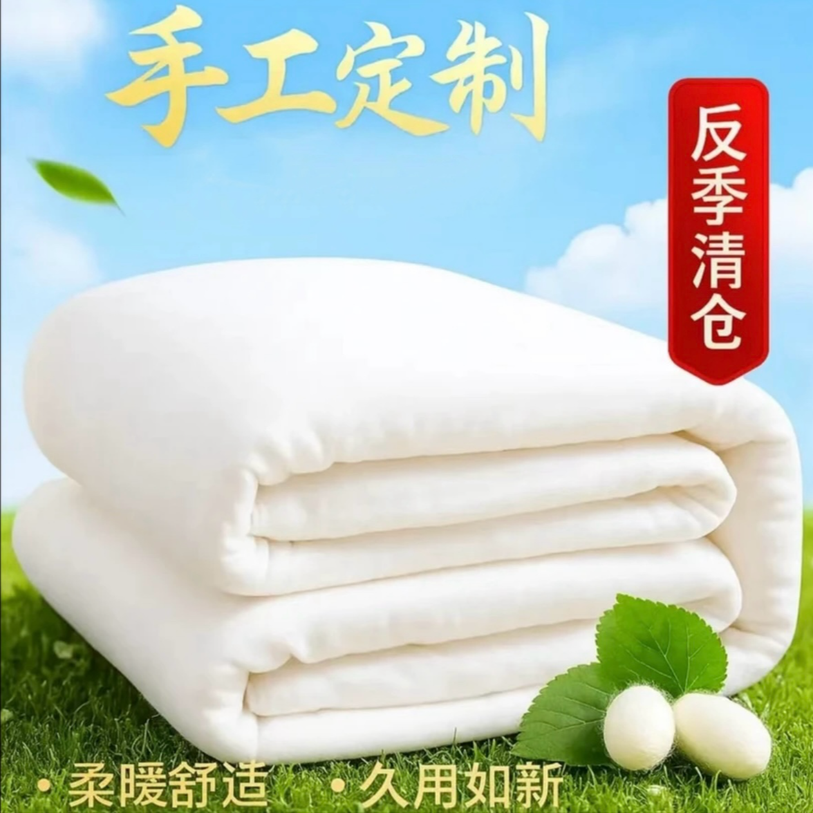 桑蚕丝蚕丝被春秋加厚保暖冬被宿舍单双人被芯（被壳+被芯）2件套