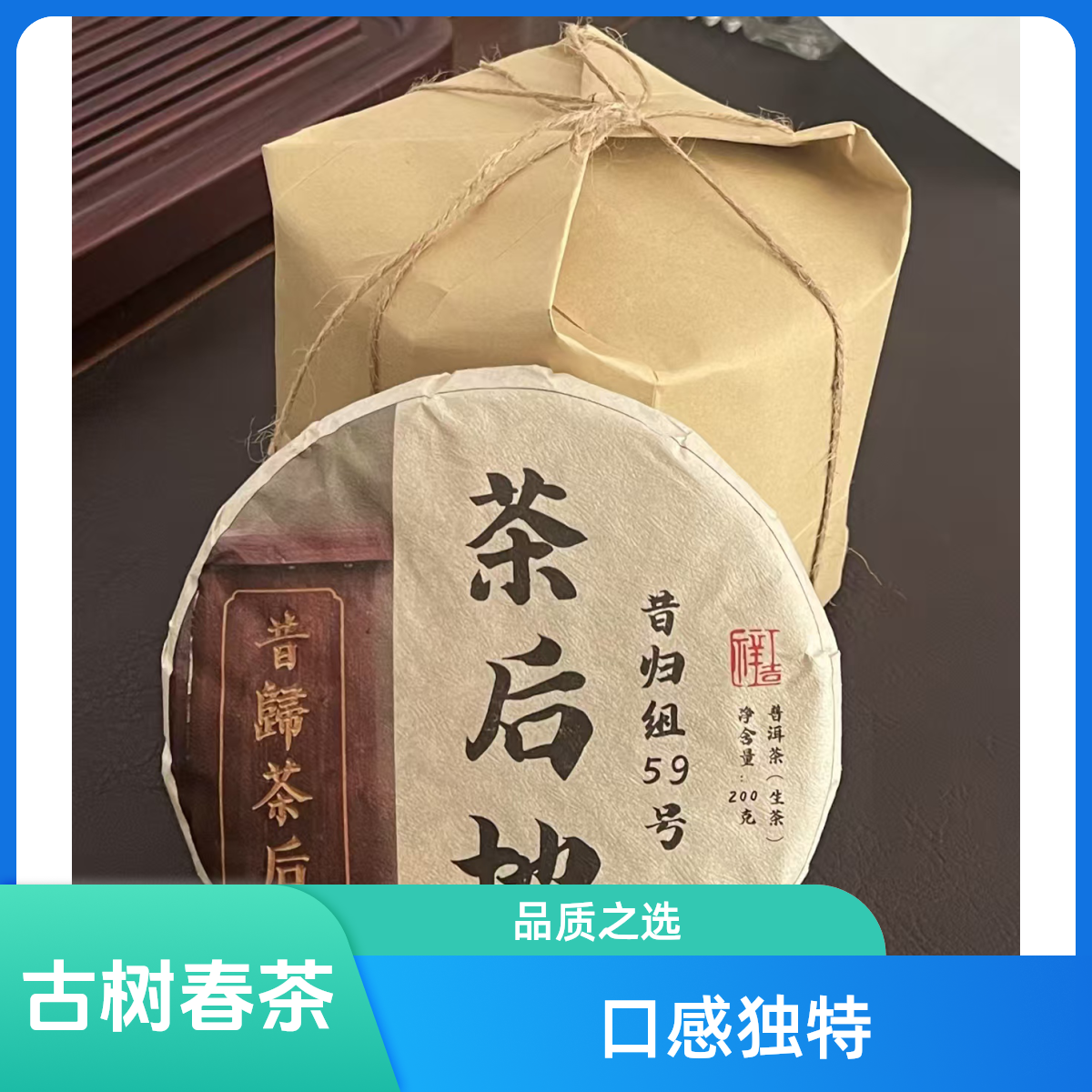 昔归组59号忙麓山2024年古树春200克饼茶