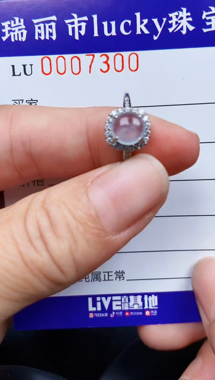 翡翠银S925镶嵌颈饰7300