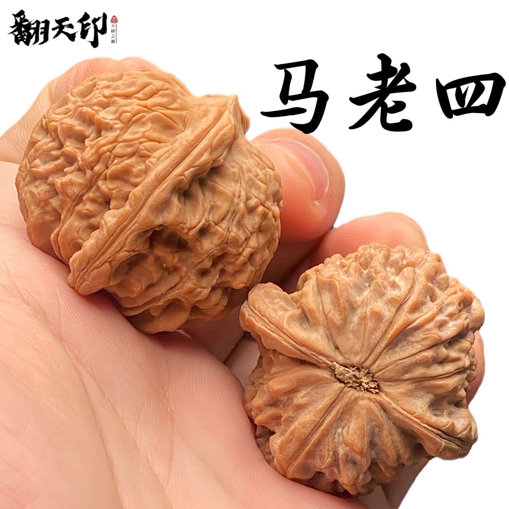 精品文玩核桃马老四