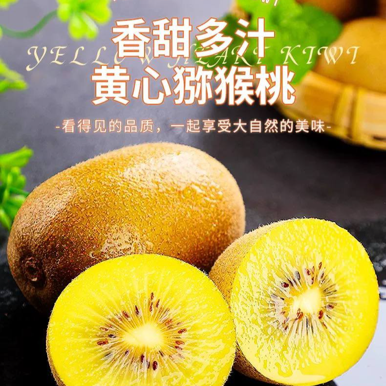 黄心猕猴桃12枚奇异果新鲜水果应当季大果弥猴桃包邮