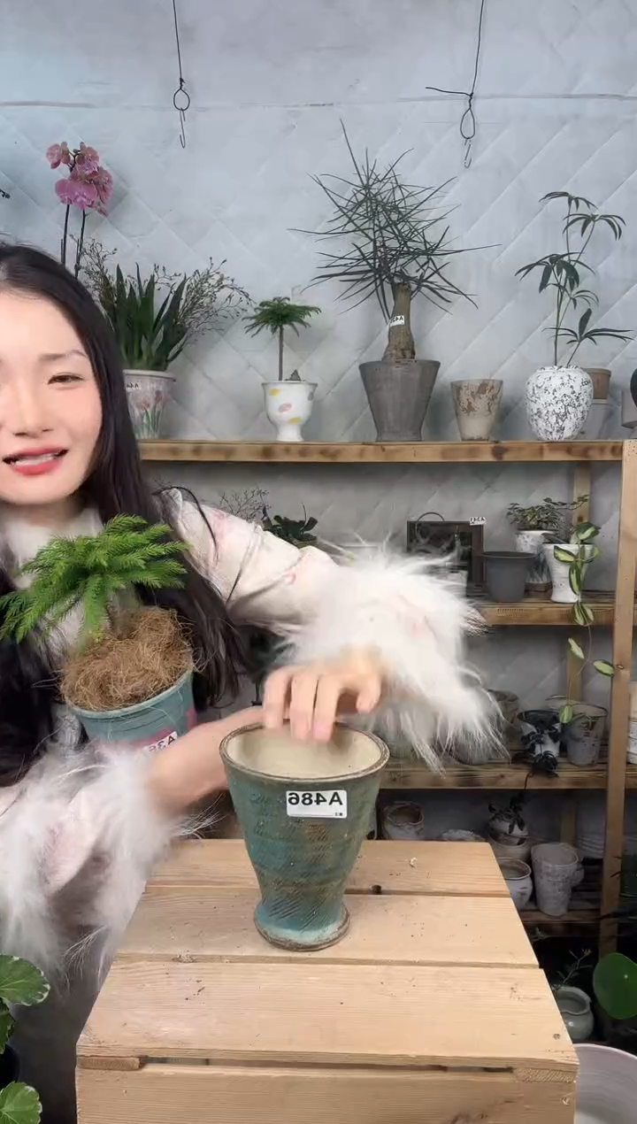 无花朵编号486  景德镇手绘花盆