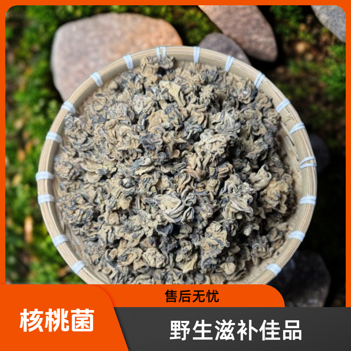 核桃菌【山里的好山货】滋补精选