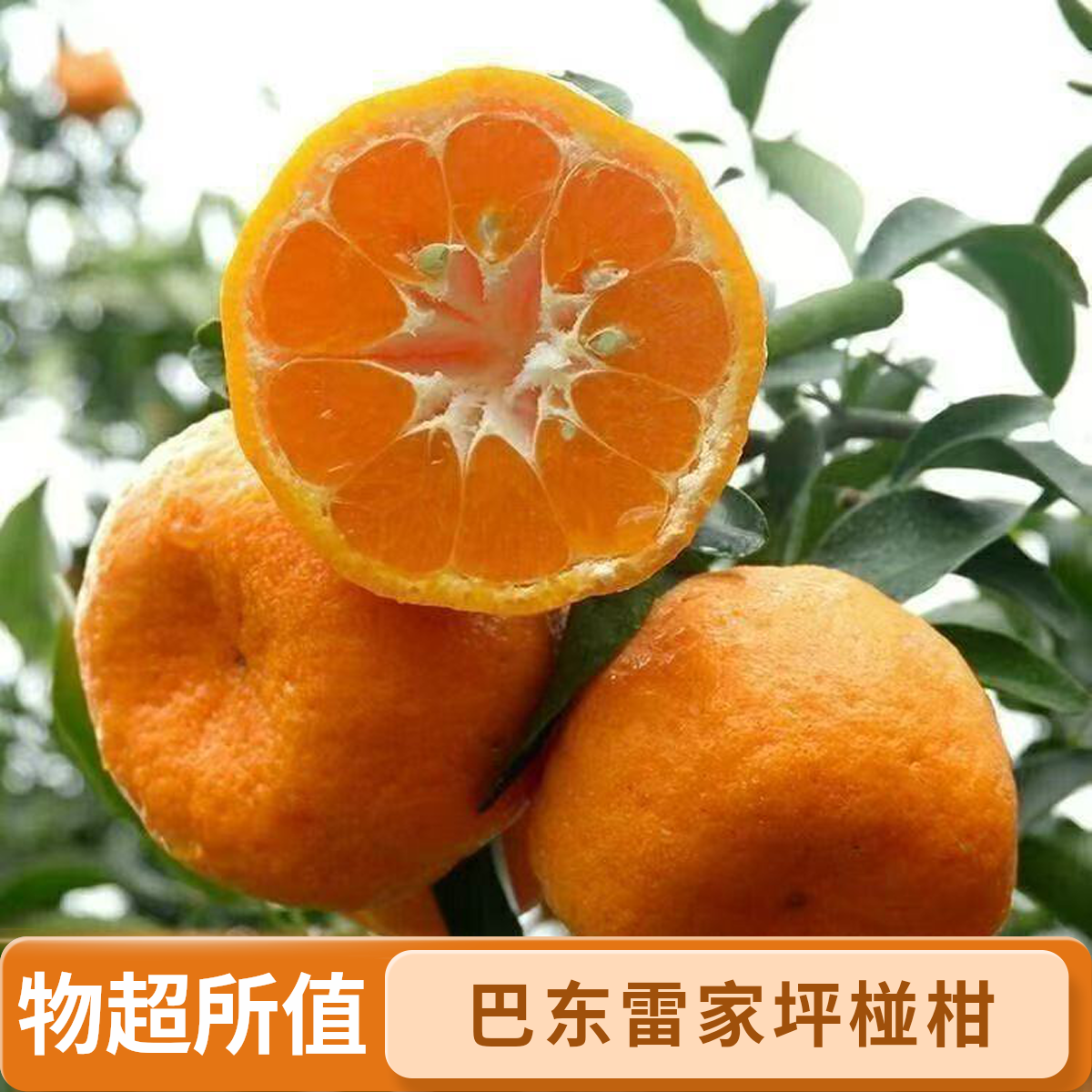 恩施巴东当季新鲜椪柑水果超甜好吃