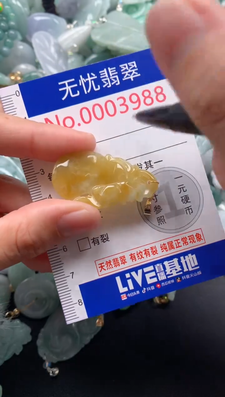颈饰未镶嵌翡翠3988