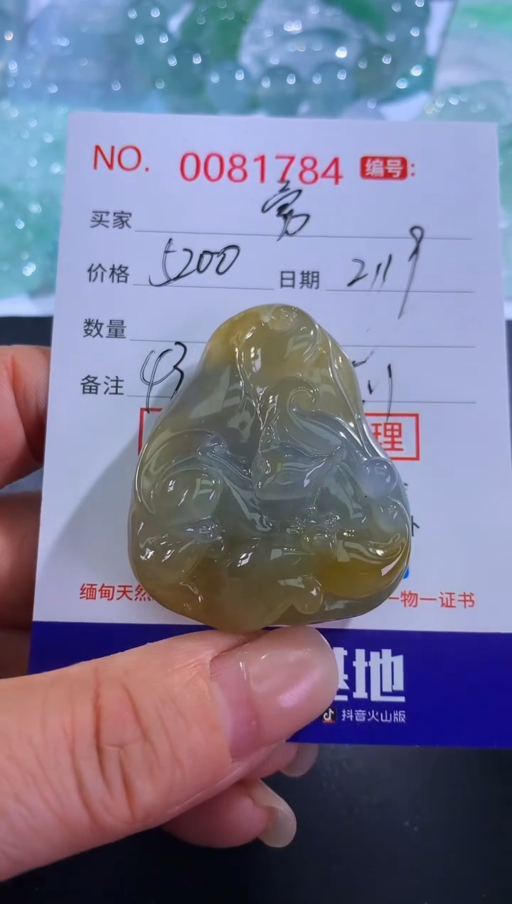 【闪购商品】翡翠颈饰未镶嵌勇