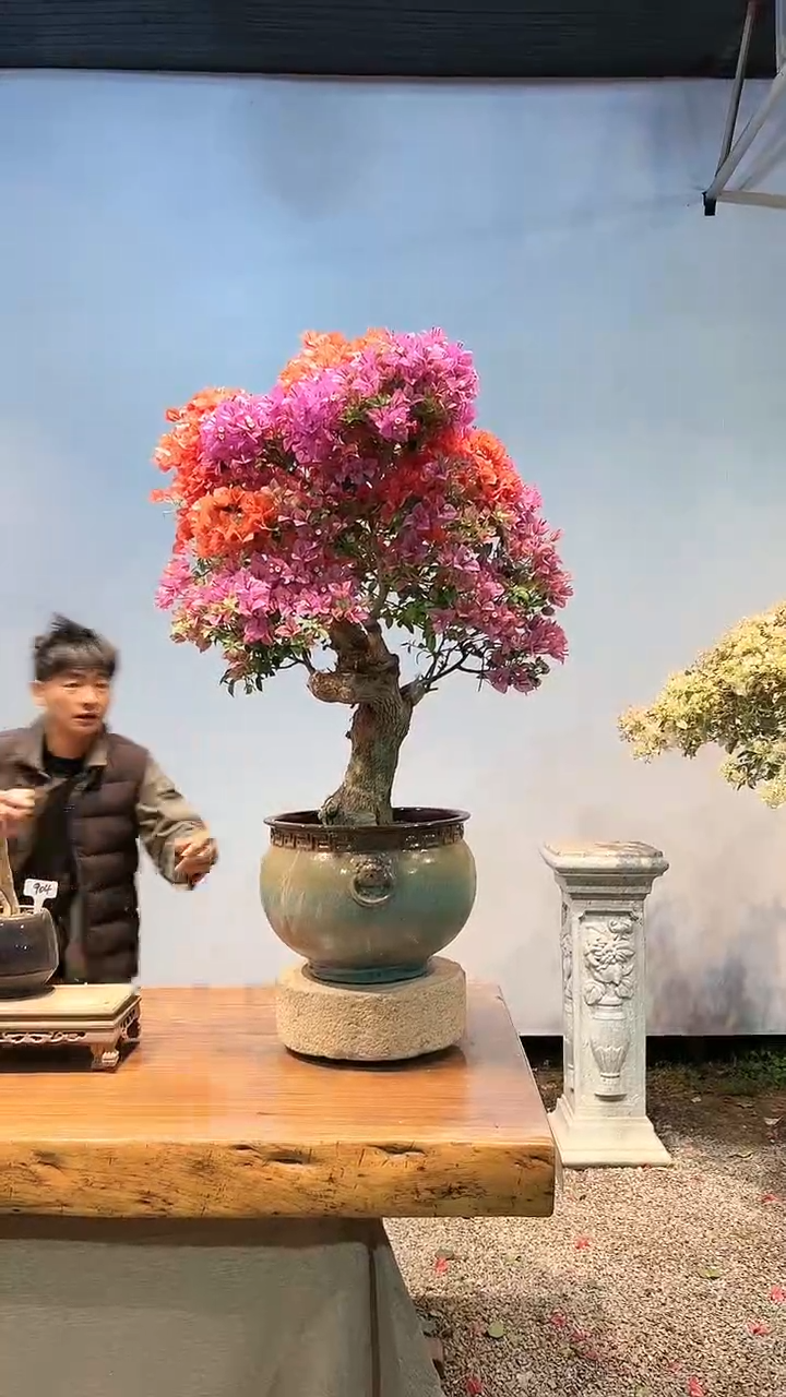 【闪购商品】AA905