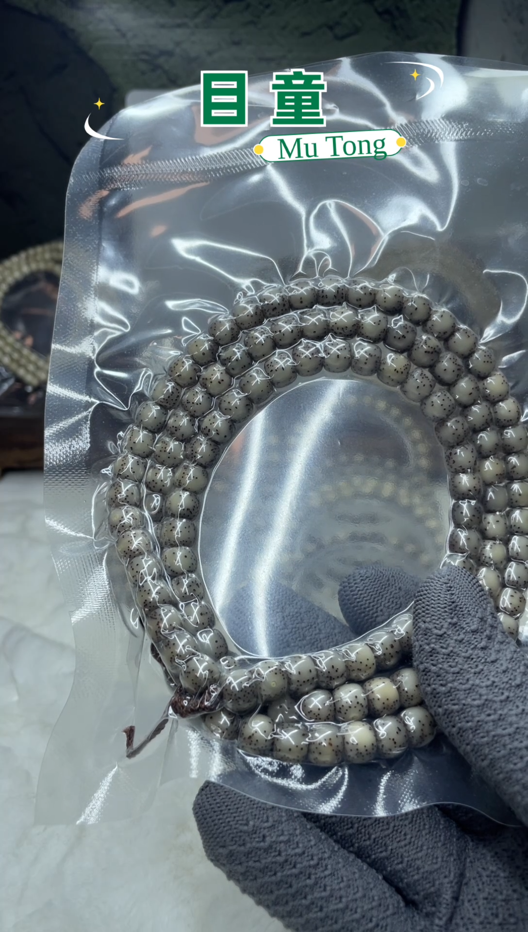 手串星月菩提池*W海南星月菩提A16