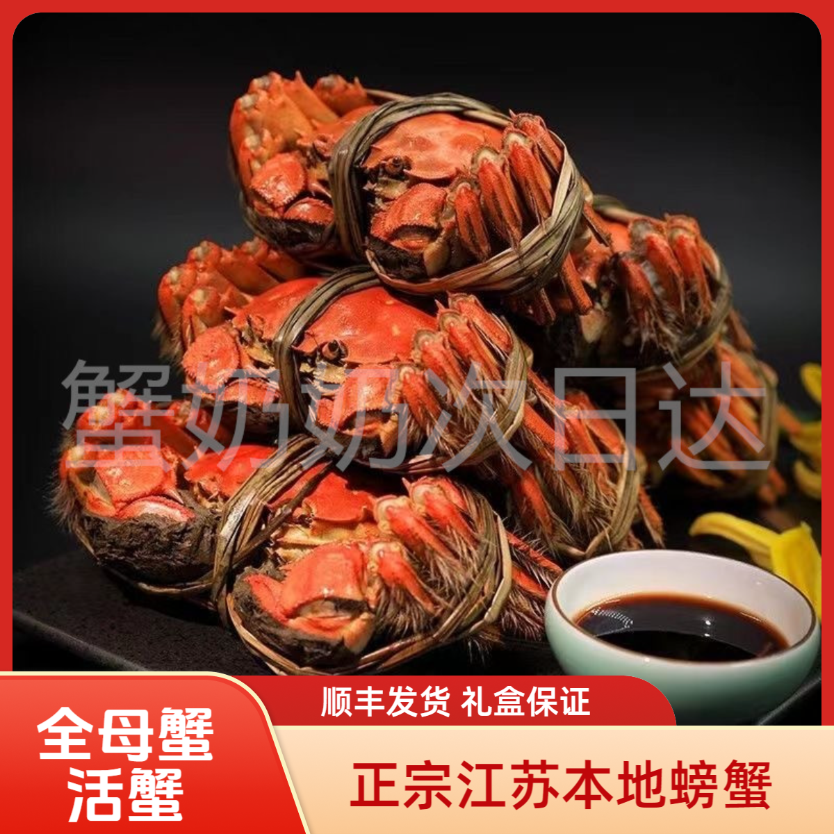 【活蟹全母蟹】鲜活河蟹3.9-4.2两4只起江苏螃蟹顺丰发货