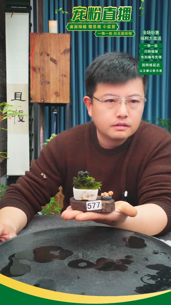 无花朵妙**慧苔藓微景观577号