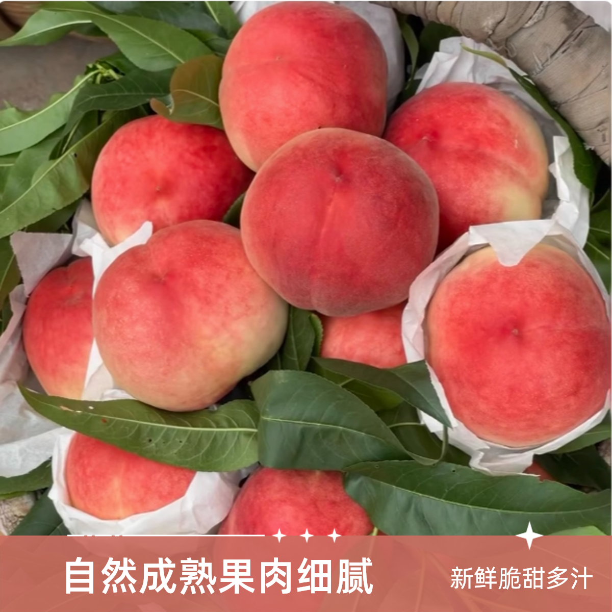 【北京头茬毛桃】露天头茬新鲜突围毛桃脆甜多汁新鲜采摘软硬两吃北京市
