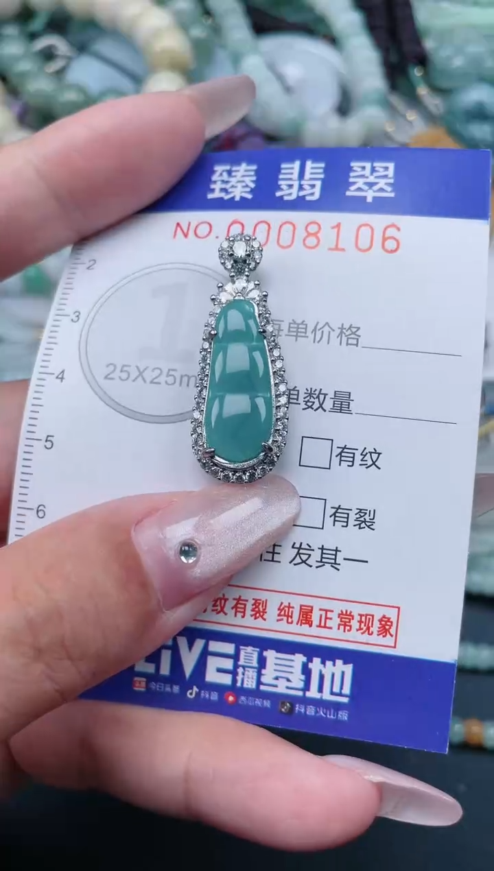 翡翠未镶嵌颈饰.0008106