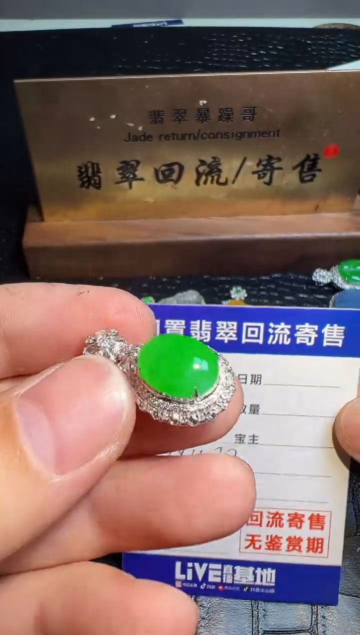 【闪购商品】翡翠颈饰18K金镶嵌翡翠回流