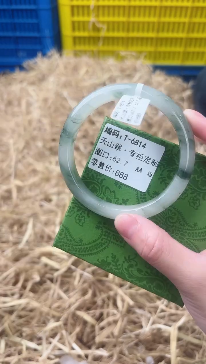 未镶嵌手镯石英质玉T-6814