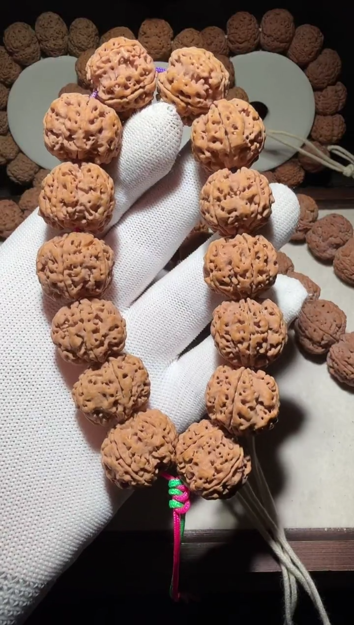 【闪购商品】金刚菩提手串姜黄皮平头五星双龙22