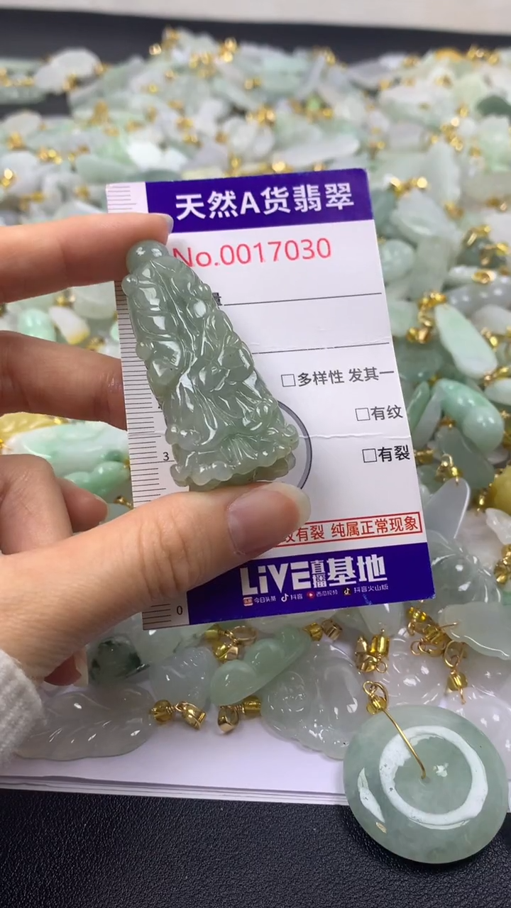 颈饰未镶嵌翡翠1
