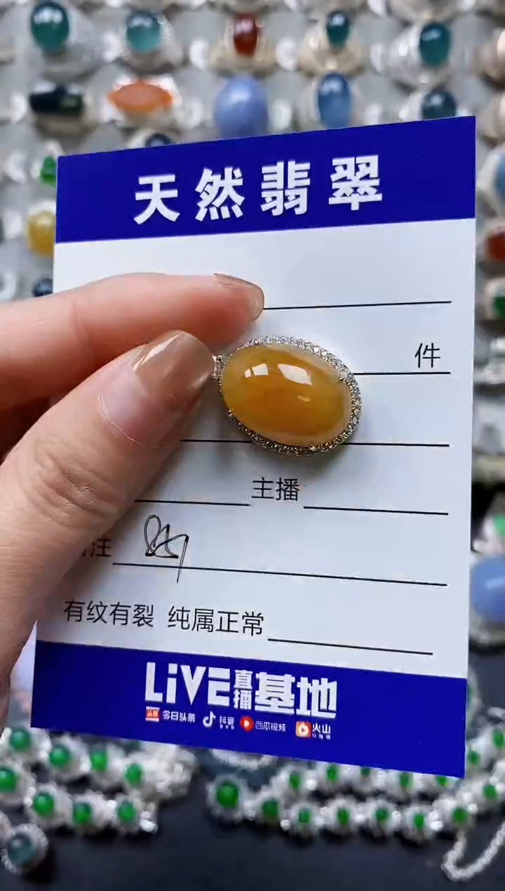 【闪购商品】翡翠颈饰银S925镶嵌0851