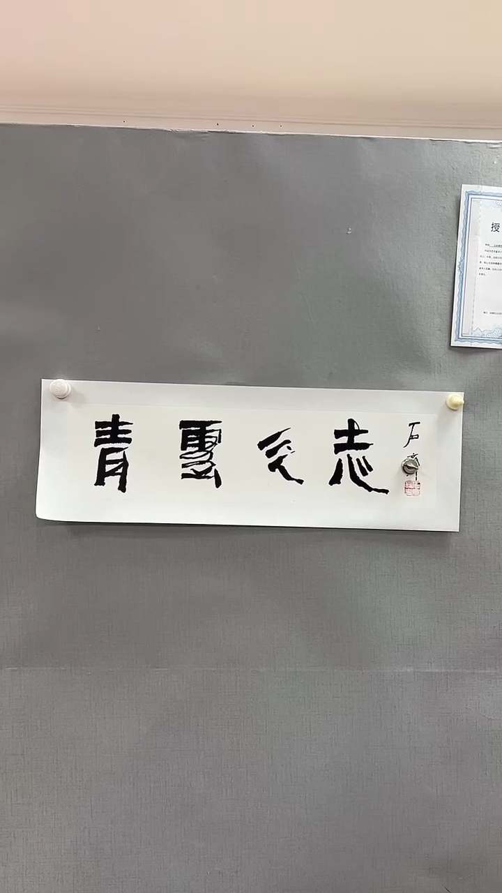 【闪购商品】书法雅艺典藏文化书法