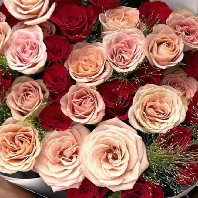 【高级鲜花组合】B2卡布10+红玫10+芭比+泰迪向日葵+蓝星花