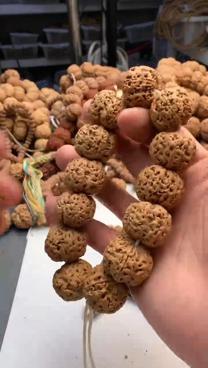 【闪购商品】金刚菩提吊坠2077777777