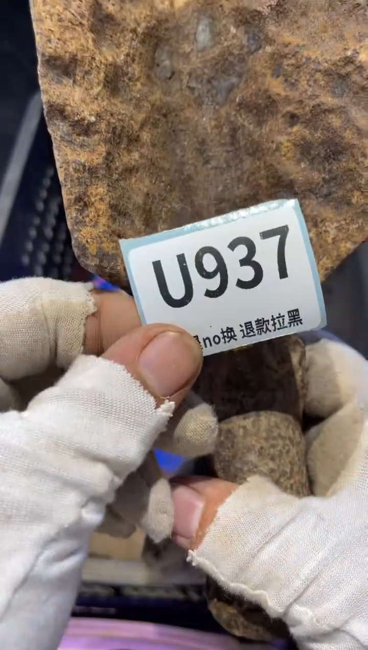 瓷片用****5表弟直播链接火爆