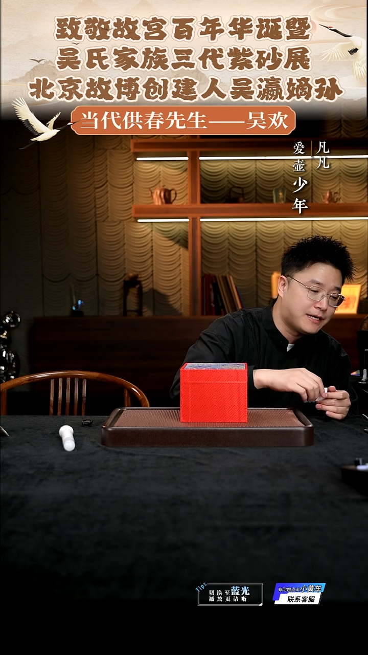 茶壶紫砂凡凡会客厅紫砂壶07