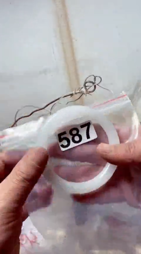 【闪购商品】石英质玉手镯未镶嵌587+64