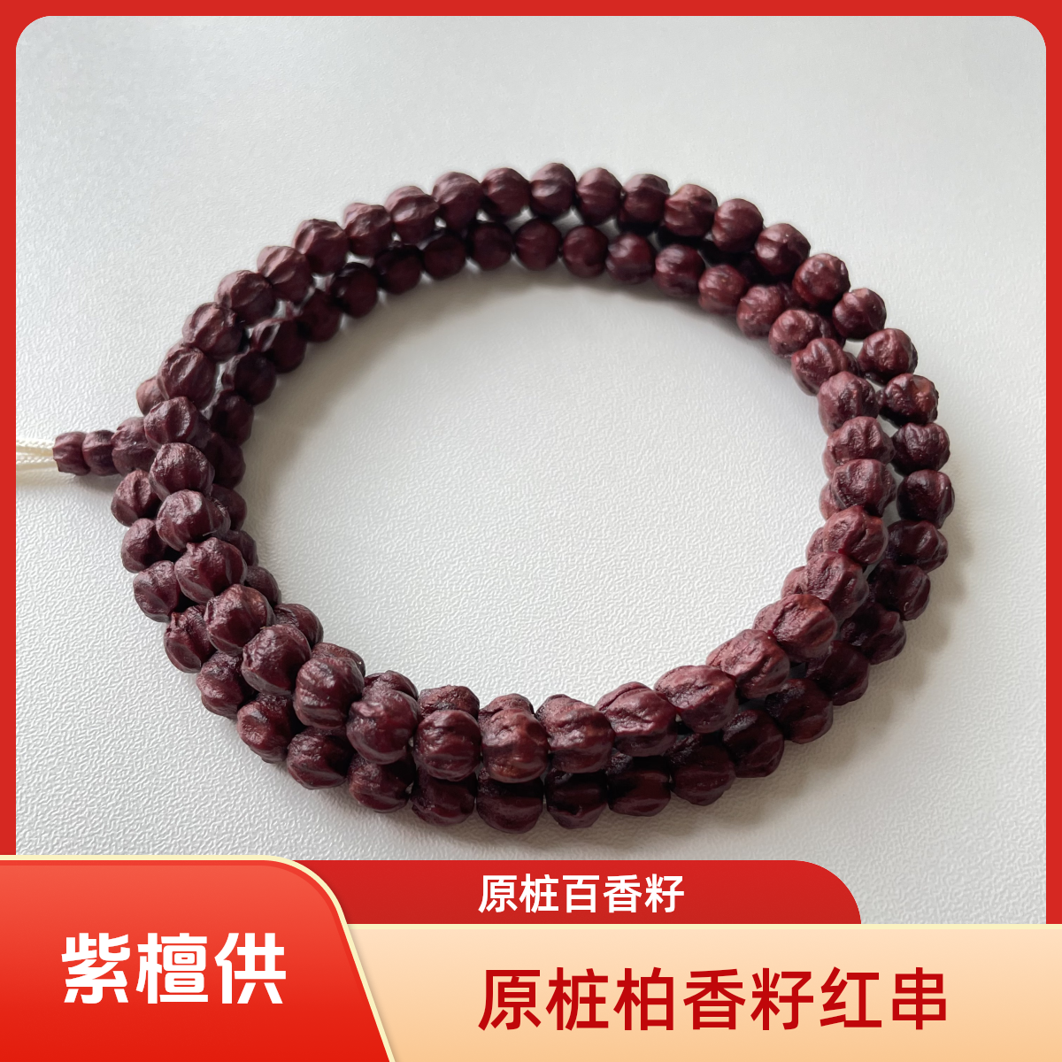 【沁供紫檀粉供百香籽文玩】原桩百香籽红串 热振柏香籽/热振百香籽
