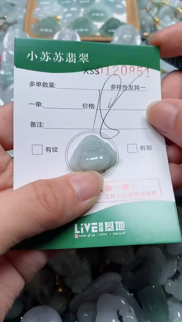 【闪购商品】翡翠颈饰未镶嵌闪购商品0102851