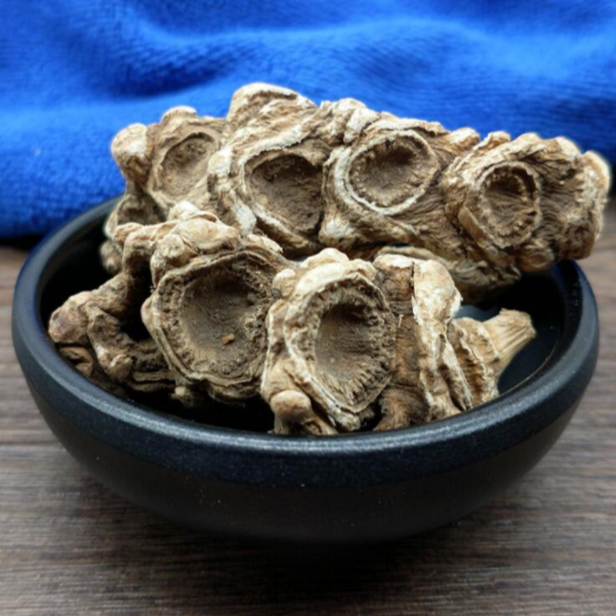 《天王参》竹节参龙骨参天王参