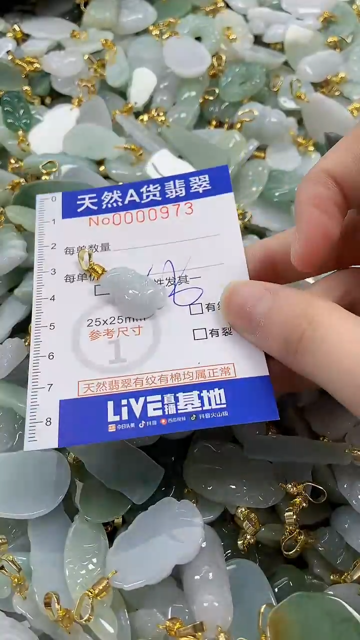 颈饰未镶嵌翡翠纯天然a货翡翠