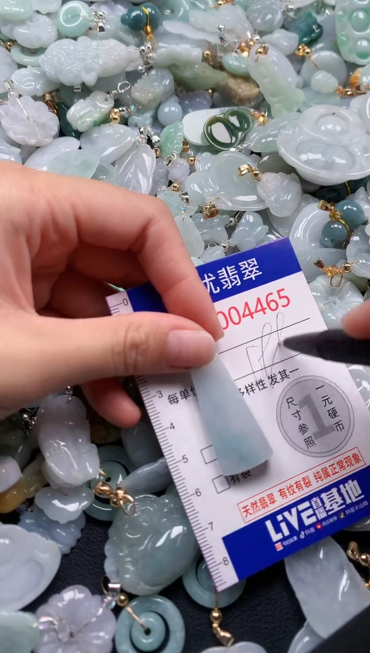 颈饰未镶嵌翡翠4465