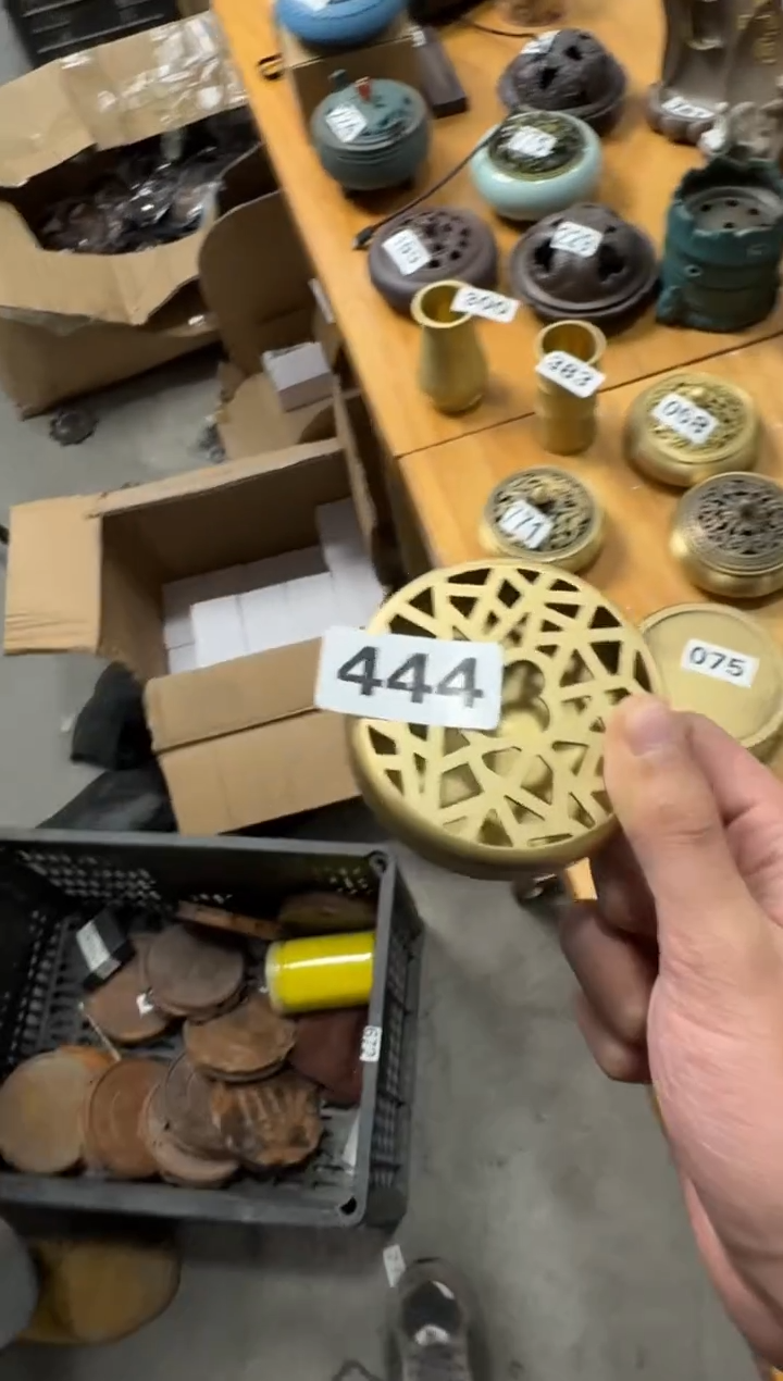 【444 】 八哥专拍